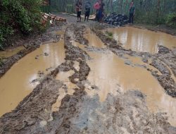 Belasan Tahun, Jalan Poros Desa Tidak Tersentuh Pembangunan