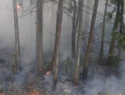 Lahan Perhutani di Desa Keramatjaya Ludes Terbakar