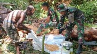 Satgas Pamtas Yonif 122/TS Bantu Warga Olah Sagu di Papua