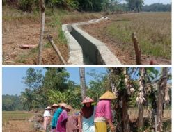 Petani Apresiasi Program P3-TGAI BBWS C3