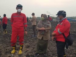 TPA Seluas 35 Hektar Terbakar, Brigade Pengendalian Karhutla KLHK Diturunkan