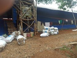 Perusahaan Kandang Ayam Wajib Tempuh Perizinan