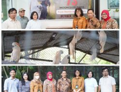 KLHK Repatriasi 73 Burung Dari Filipina