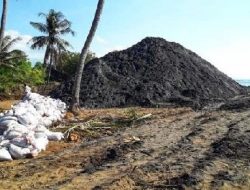Kehancuran Perairan Lombok Timur Akibat Tambang Pasir Laut