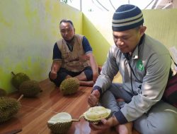 Durian Asal Baduy Diminati Wisatawan