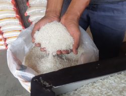Harga Beras Meroket,  Aktifis Minta Pemerintah Salurkan Beras Murah untuk Rakyat