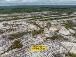 WALHI Kritik Presiden Jokowi Yang Minta Dukungan Dana dan Teknologi Untuk Pengembangan Food Estate