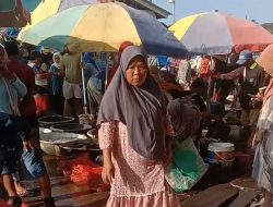 Harga Turun, Tangkapan Ikan Nelayan Pesisir Binuangeun Lumayan Ada Peningkatan