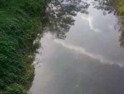IPAL PTPN III KSO VIII Diduga Cemari Sungai Ciliman