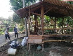 Dua Ekor Kerbau Hilang Dalam Satu Malam