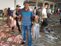 Retribusi Lelang Ikan Naik Jadi 4%
