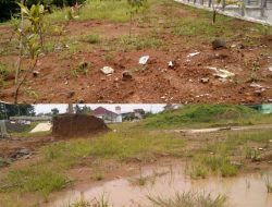 Telan Ratusan Juta Rupiah Proyek Tanam Rumput Gajah Diareal RSUD Malingping, Begini Respon Aktifis Baksel