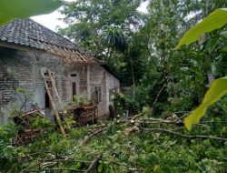 Lima Rumah Warga Desa Cipeundeuy Rusak Tertimpa Pohon Besar