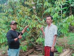 Inspiratif! Petani Kreatif dan Inovatif Asal Garut Buktikan Bertani Itu Keren