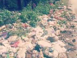 Bau Busuk Akibat Buang Sampah di Pinggir Jalan Raya