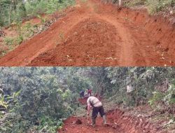 Pemerintah Desa Sukasenang Bangun Jalan Usaha Tani