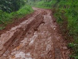 Seolah di Biarkan Jalan Rusak Parah di Desa Pasirnangka