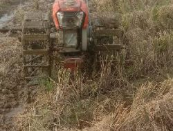 Petani Sawah di Kecamatan Wanasalam di Perkirakan Gagal Tanam Kedua