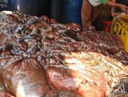 Sejumlah Nelayan Muara Binuangeun Mendapatkan Hasil Tangkapan Melimpah