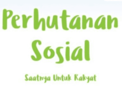 Perhutanan Sosial Solusi Untuk Kesejahteraan Masyarakat Hutan