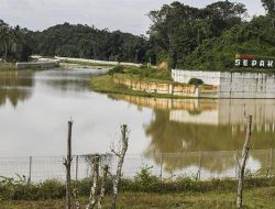 Walhi Kaltim Sebut IKN Jauhkan Warga dari Sumber Kehidupan