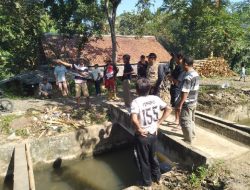 Diduga Adanya Penyumbatan Air Irigasi, Sawah Milik Petani Lebak Selatan Berpotensi Kekeringan dan Merugi