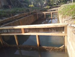 DI Cibinuangeun Dibuat Multi Fungsi Meski Sawah Petani Kekeringan