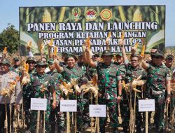 Dorong Ketahanan Pangan: TNI AD Panen Raya Jagung di Majalengka