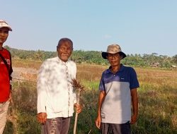 Petani Desa Rahong  Pertanyakan Statemen Ahmad Hudori Soal “Petani Gagal Panen Gegara Adanya Proyek Irigasi”. di D.I Cibinuangeun
