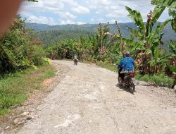 Wah, Baru Satu Tahun Dibangun Jalan Kabupaten di BNS Sudah Rusak