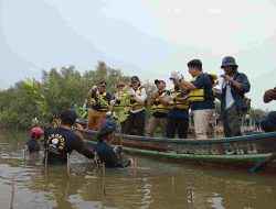 Lewat Catalytic Fund, FishLog Gelar Penanaman 5000 Pohon Mangrove di Muara Gembong