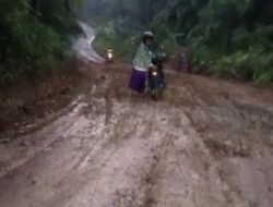 Dikeluhkan Warga, Jalan Poros Desa Hancur Meski Sudah Beberapa Kali di Usulkan