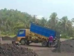 Aparat Penegak Hukum Seolah Tak Berdaya, Tambang Batu Bara Ilegal Dikawasan Perhutani Makin Lancar