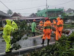 Gerak Cepat Kapolsek Pagar Alam Utara IPDA Budianto Atasi Pohon Tumbang di Dempo Reokan