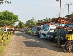 Carut Marut Antrian Pengangkut TBS di PTPTN Kertajaya