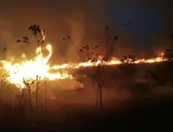 Ratusan Hektar Lahan di Kawasan Taman Nasional Way Kambas Terbakar