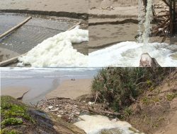 Tambak Udang Diduga Buang Limbah Cair ke Pantai Bagedur