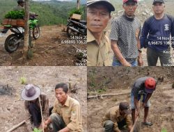Jaga Kelestarian Hutan, KRPH Bayah Selatan Bersama LMDH dan Penggarap Lakukan Penanaman Pohon