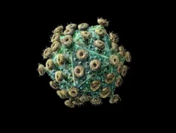 HIV di Aceh Timur Alami Peningkatan Selama 2024