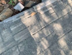 Bawa Hasil Uji Lab, APPI Laporkan Perkim ke Inspektorat Banten