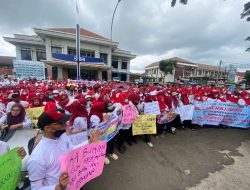 Pandeglang Tempat Sapi Perah Bagi Honorer