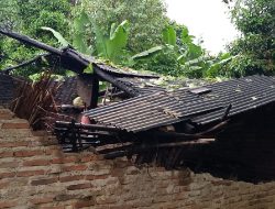 Tengah Tidur, Rumah Warga di Cijaku Lebak Hancur Tertimpa Pohon Besar
