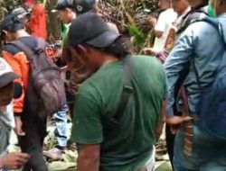 Korban Hilang Akibat Serangan Harimau Ditemukan Tewas dengan Kondisi Mengenaskan