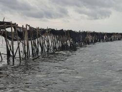 WALHI Desak Pemerintah Bongkar Pagar Laut Sepanjang 30,16 Kilometer