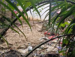 Terkait Aroma Bau Bangkai Limbah Pembuangan Potong Ayam, Ini Jawaban Pihak Kecamatan