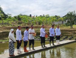 Bersama Kakanwil Ditjenpas Banten, Lapas Rangkasbitung Gelar Panen Raya Komoditas Pertanian