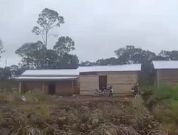 Hutan Makin Marak Dirambah, Kades Surati Kemenhut