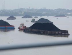 Harga Batubara Acuan Untuk Ekspor Rawan Terdampak