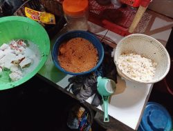 Menjelang Lebaran, Warga Keluhkan Banyaknya Lalat di Duga Berasal Dari Kandang Ayam