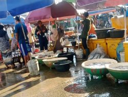 Banyak Nelayan Belum Melaut Paska Lebaran, Harga Ikan Naik Signifikan